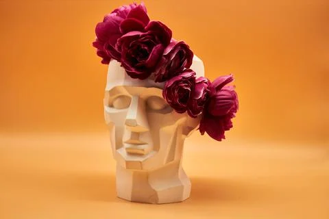 Plaster head. Stock Photos