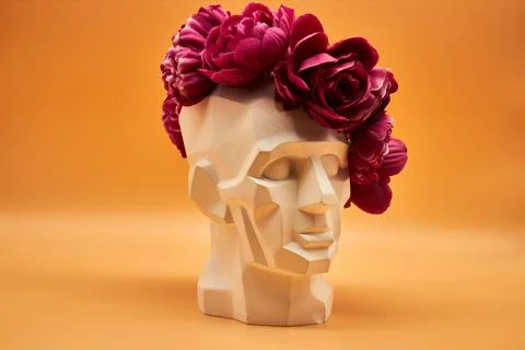 Plaster head. Stock Photos