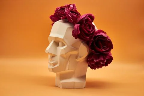 Plaster head. Stock Photos