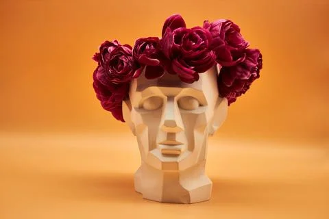 Plaster head. Stock Photos