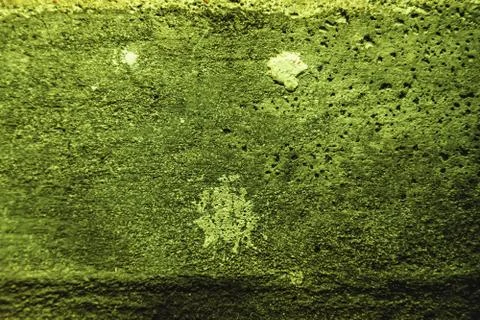 Plaster or cement texture green color Stock-Fotos