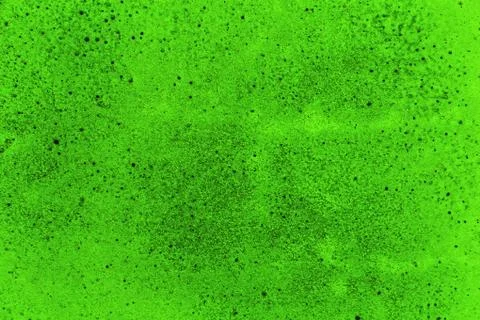 Plaster or cement texture green color Stock-Fotos