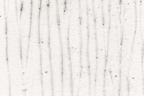 Plaster or cement texture white and gray color Foto stock