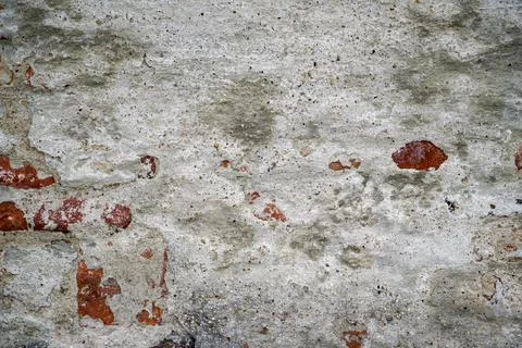 Plaster render as a background 스톡 사진