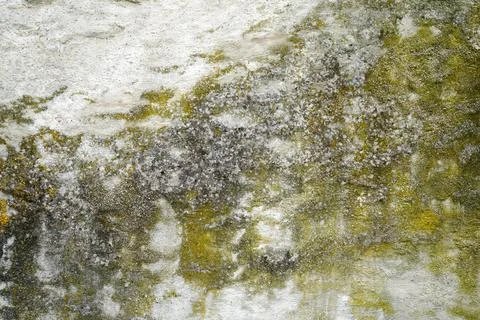 Plaster render as a background 库存照片