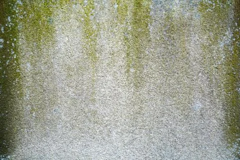 Plaster render as a background 写真素材