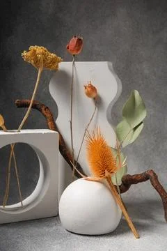 Plaster stands and different dried flowers on black grunge background Stock Photos