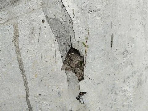 The plaster surface of the wall is starting to crack. Фото