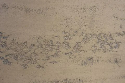 Plaster Texture. Background Old Bumpy Wall. Structural plaster. Stock Photos