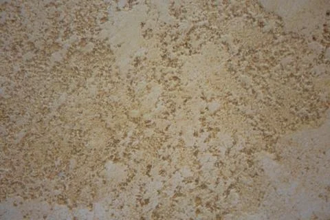 Plaster Texture. Background Old Bumpy Wall. Structural plaster. Stock Photos