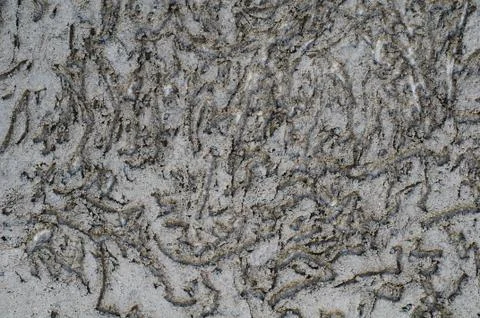 Plaster texture Фото