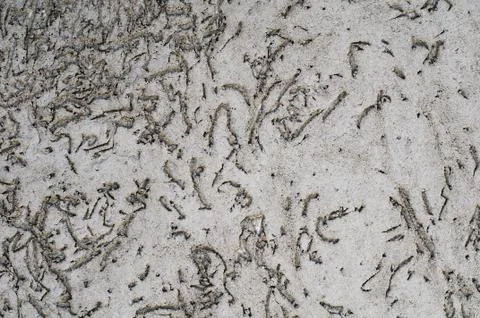 Plaster texture Stock Photos