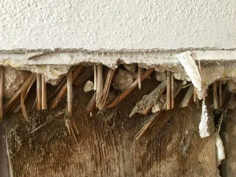 Plaster used instead of a tangled straw, reconstruction Stock Photos