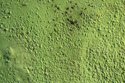 Plaster wall texture abstract background Foto stock