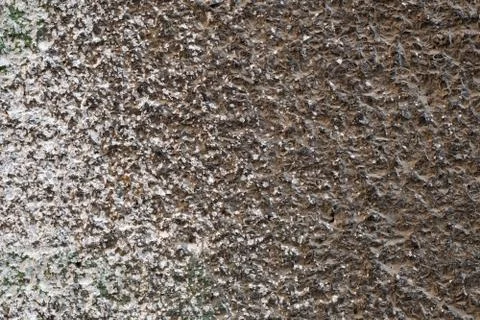 Plaster wall texture Foto stock
