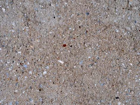 Plastered surface. Stucco with small shells and pebbles Stock Photos