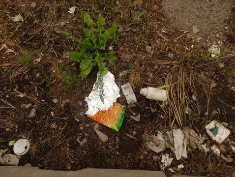 Plastic and cardboard garbage polluting the environment Stock Photos
