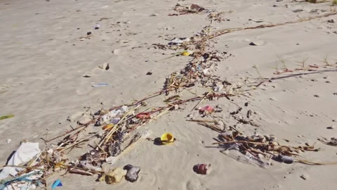 Plastic and Debris Polluting a Sandy Beach Shoreline, full microplastic Video stock 341363210