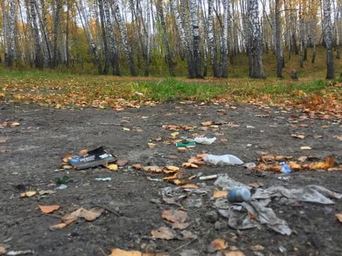 Plastic and glass in the forest, garbage in nature, ecology in danger, glass Stock Photos