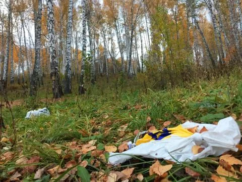 Plastic and glass in the forest, garbage in nature, ecology in danger, glass Stock Photos