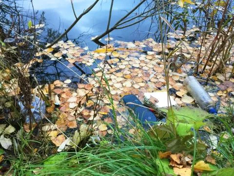 Plastic and glass in the forest, garbage in nature, ecology in danger, glass Stock Photos