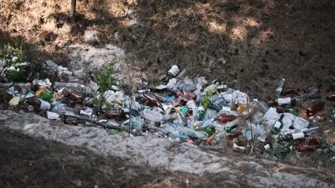 Plastic and Glass Waste Polluting Forest Stock Footage 284966980
