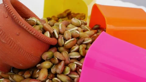 Plastic and mud glasses placed over beans seeds Stock Footage 159637927