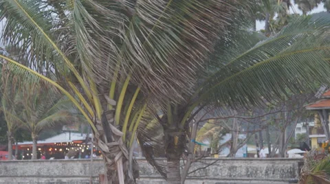 Plastic and nylon polluted beach Vídeos de archivo 68739688