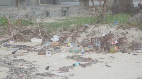 Plastic and nylon polluted beach Vídeos de archivo 68739719
