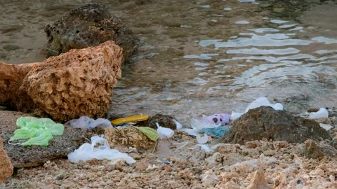 Plastic and other garbage on the corals beach in surf zone.   Stock Footage 143847972