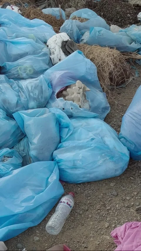 Plastic and other garbage pollutes the desert of Egypt, Marsa Alam, Africa Stock Footage 257324351