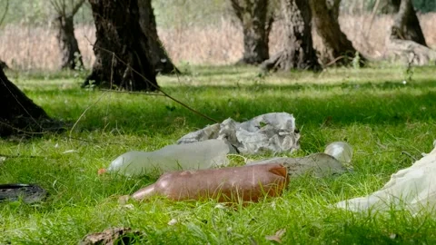 Plastic and other garbage thrown by tourists pollutes parks. Stock Footage 142931674