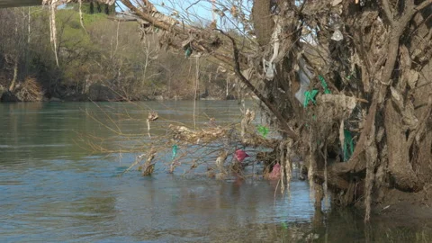 Plastic and other waste on river bank 動画素材 236900911