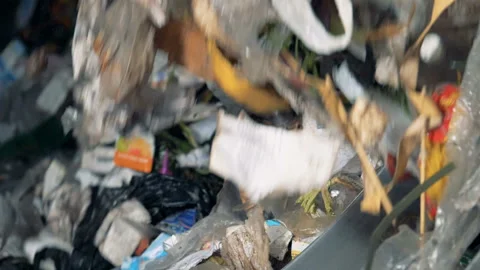 Plastic and paper trash sorting at a factory, close up. Vidéo 95041603