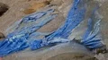 Plastic and pollution of worldwide oceans sea and beach 4k or 4k+ Resolution