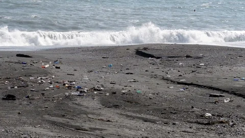 Plastic and waste on the beach after a storm Stock Footage 97819620