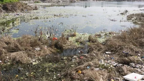 Plastic and water pollution in pond Video stock 291237145