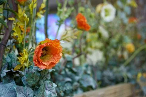 Plastic artificial flower as part of the interior decoration in the house Stock Photos