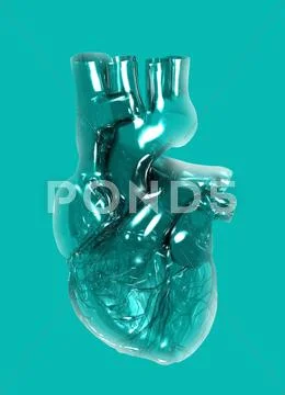 Plastic artificial heart, artwork Stock Illustration