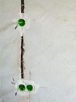 Plastic backbox for sockets or switches inserted into the drilled holes on wall Stock Photos