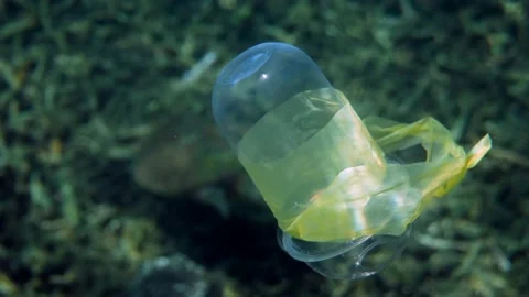 Plastic bag and cup floating in sea water with sea turtle and coral reef on Stock Footage 236271126