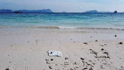 Plastic bag and plastic bottle are dumped on the beach Stock Footage 111181304