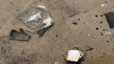 Plastic Bag and Trash Pollution Discarded in Muddy Beach Water Stock Footage 345767549