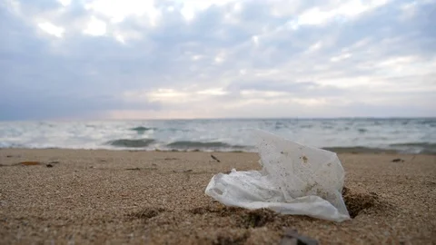 Plastic Bag On Beach Video stock 120491277