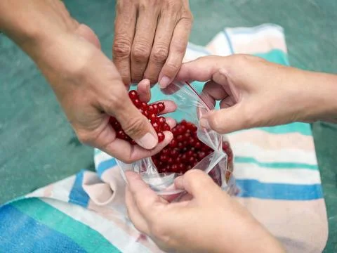 Plastic bag with berries Photos