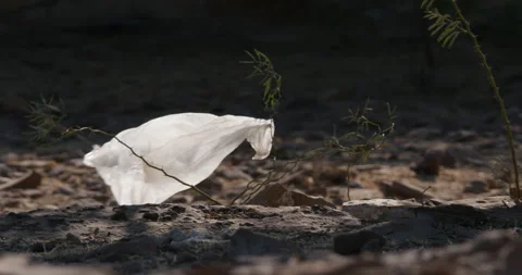 Plastic bag blows in desert heat Stock Footage 149062925