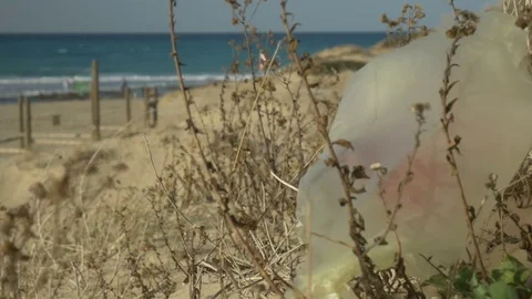 Plastic bag caught on a plant on the beach. Environmental issues. 스톡 동영상 72763500