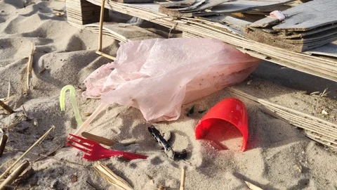 A plastic bag is developing in the wind like a flag. Pollution of beaches and th Stock Footage 127151210