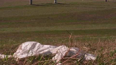 Plastic bag develops in the wind in a field. No trash planet concept. Purge of Stock Footage 139660530