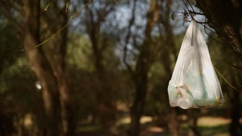 Plastic bag discarded on a forest tree branch. Concept of plastic pollution.. Stock Footage 344809918
